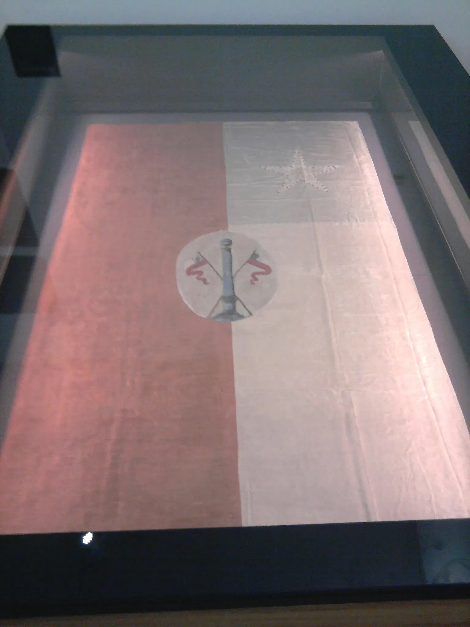 National History Museum of Chile