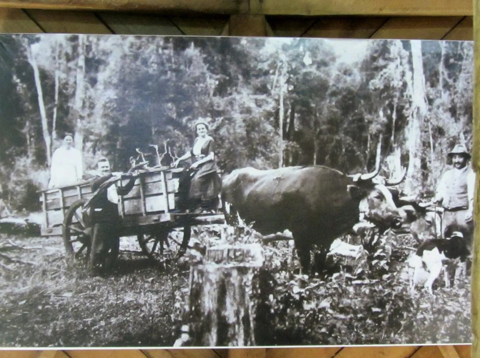 Museo Colonial Alemán de Frutillar