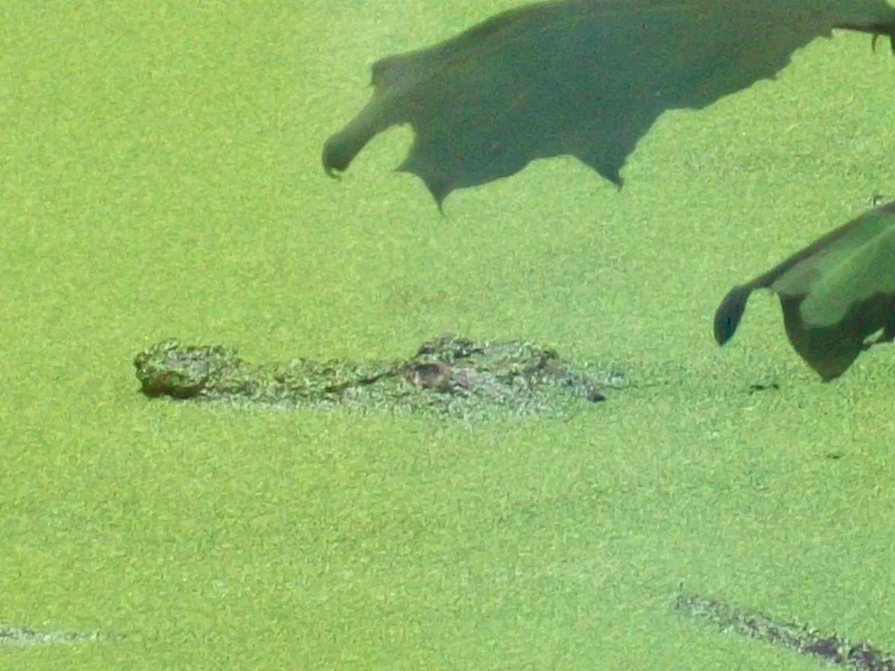 Parque Zoológico y Jardín Botánico Nacional Simón Bolívar