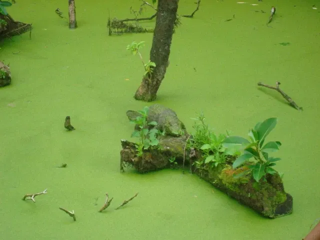 Dierentuin Simón Bolívar