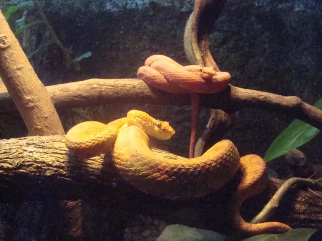 Parc zoologique et jardin botanique national Simón Bolívar