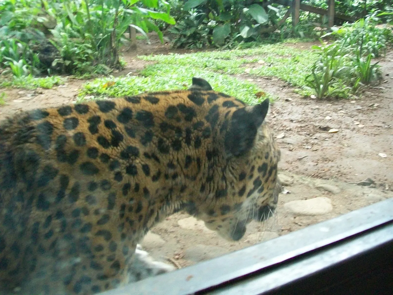 Dierentuin Simón Bolívar