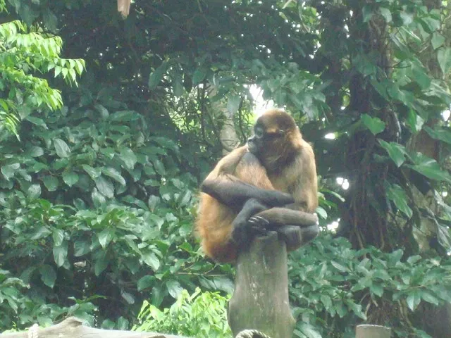 Parc zoologique et jardin botanique national Simón Bolívar
