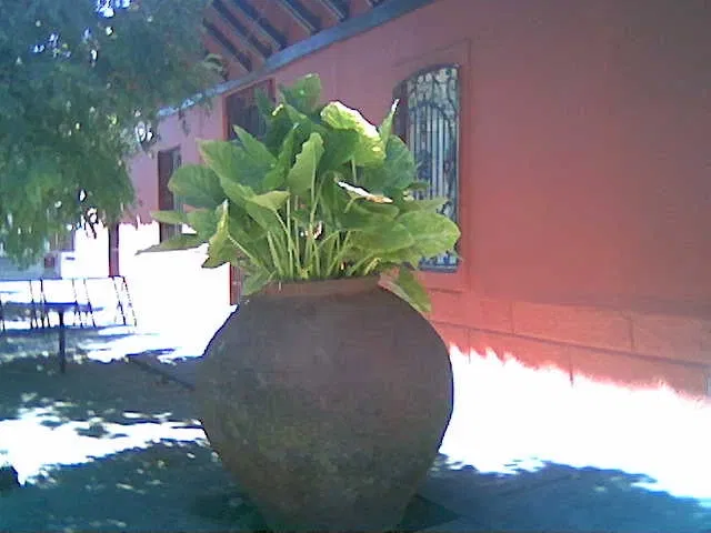 Museo de Arte y Artesanía de Linares