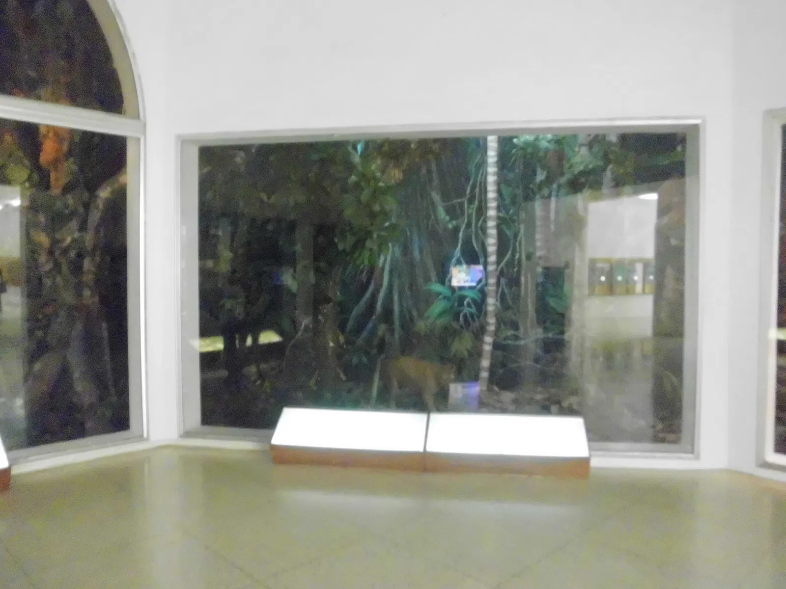 Museo de Ciencias de Caracas