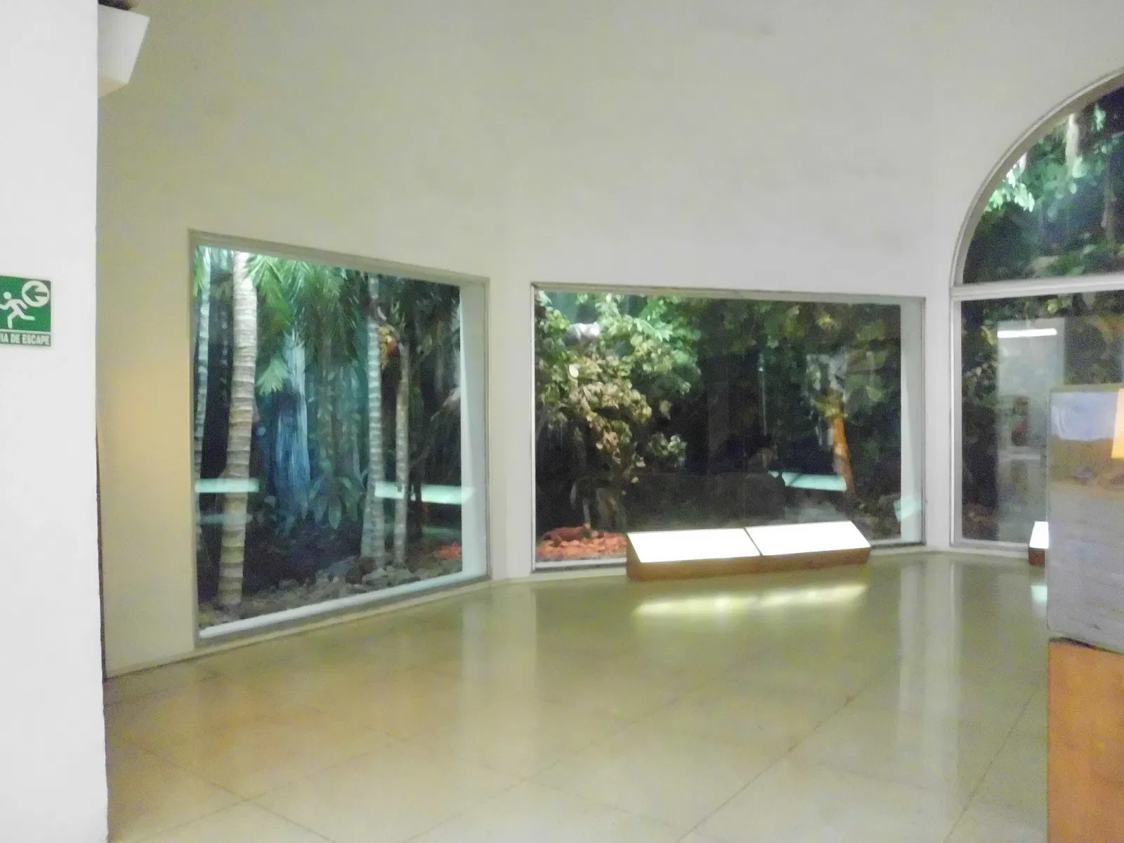 Museo de Ciencias de Caracas