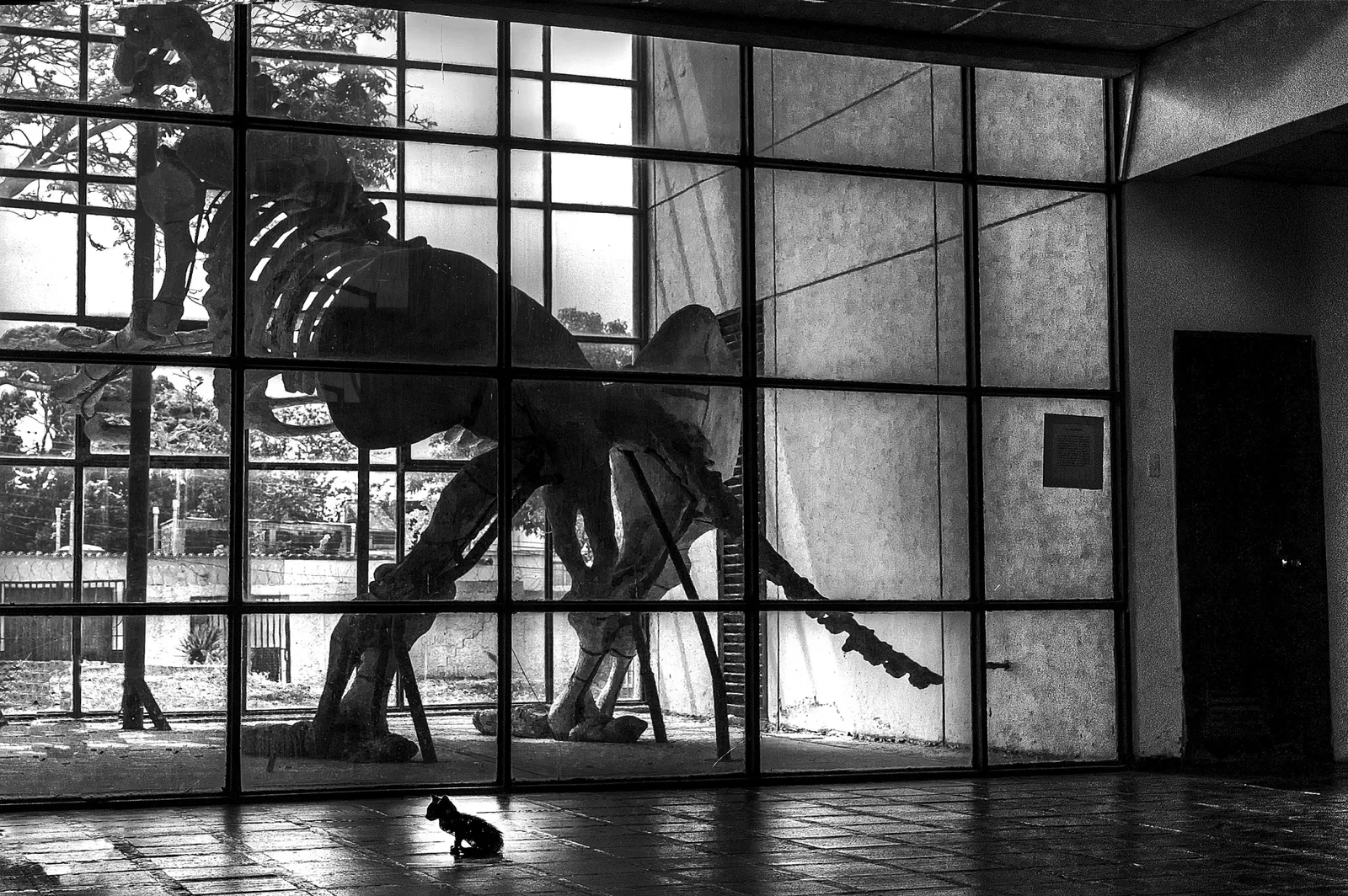 Museo de Barquisimeto