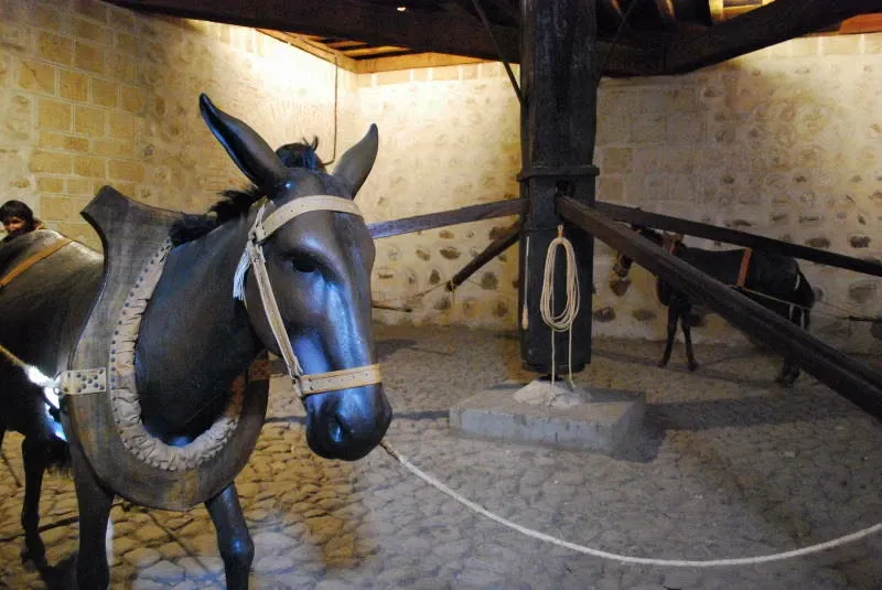 Casa Nacional de Moneda