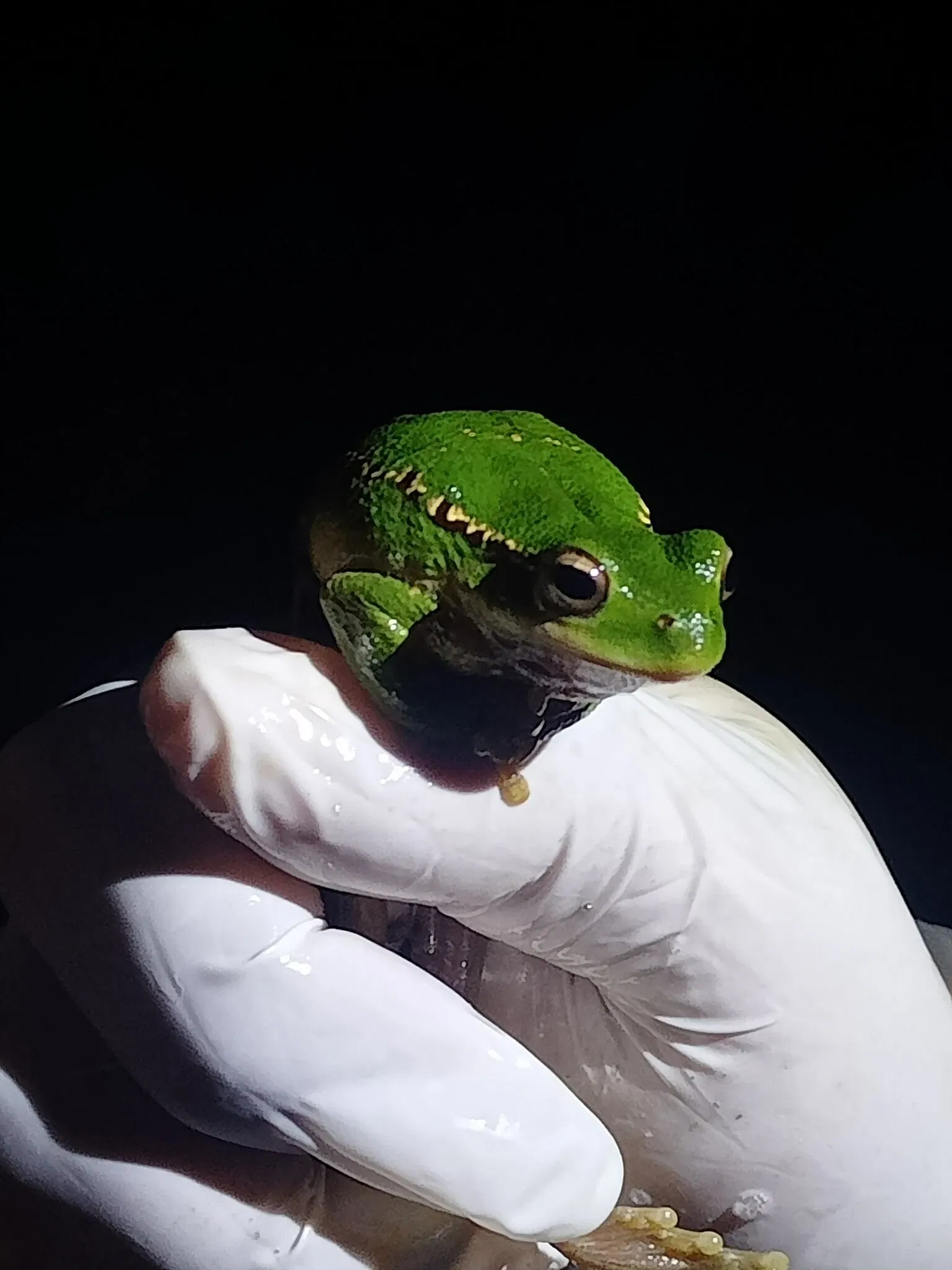 Bioparque Vesty Pakos