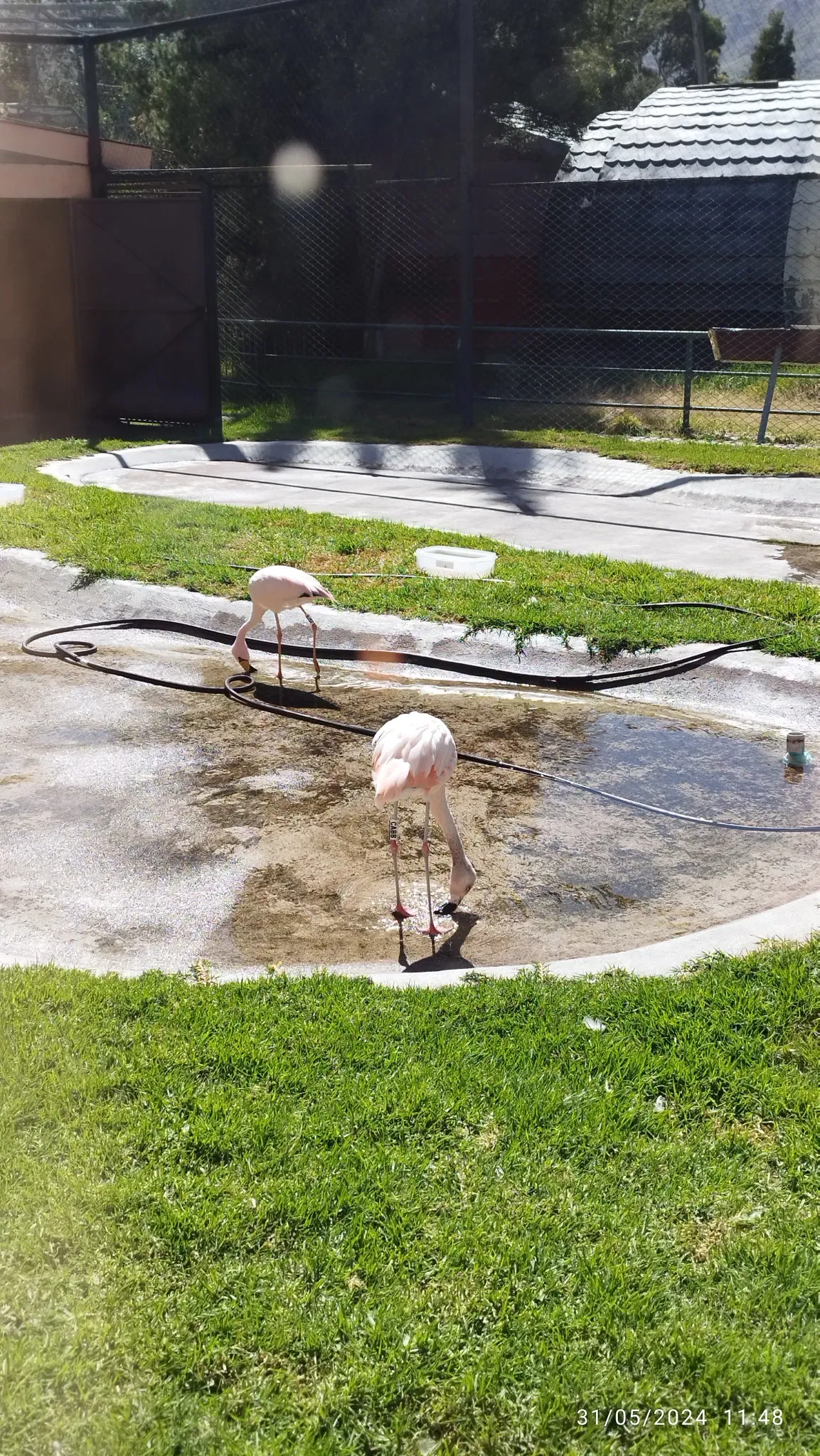 Bioparque Vesty Pakos