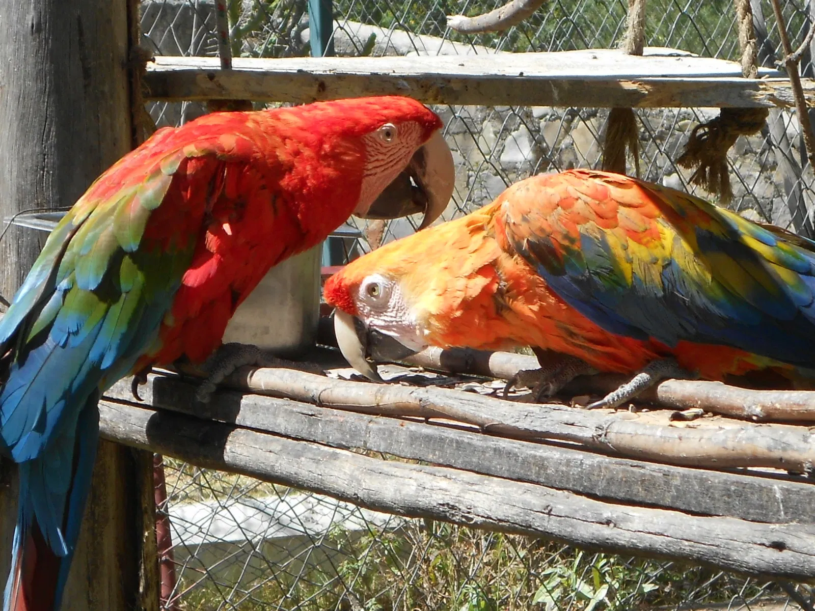 Bioparque Vesty Pakos