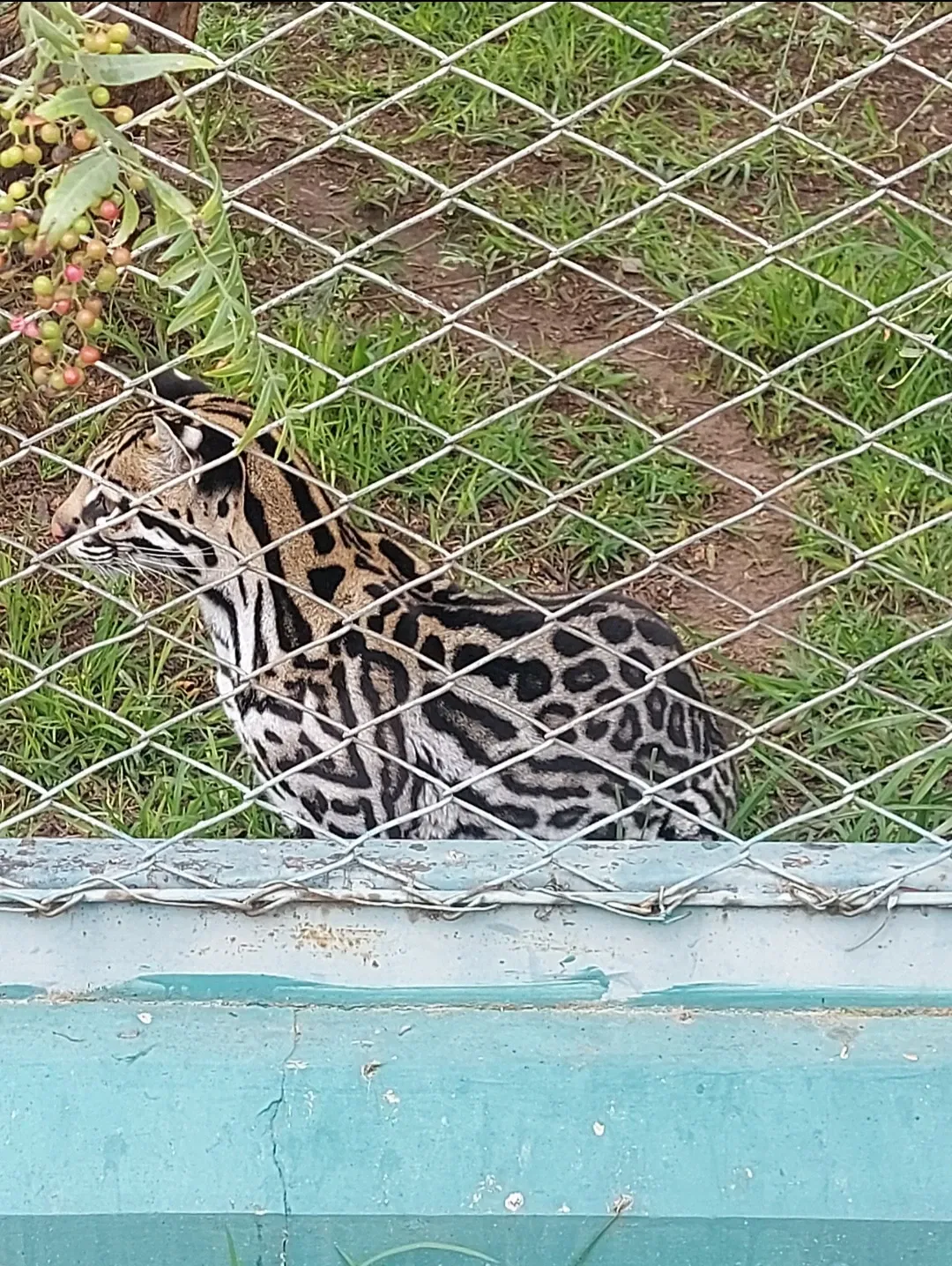 Bioparque Vesty Pakos