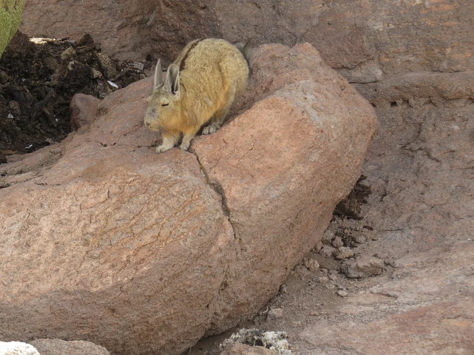Bioparque Vesty Pakos