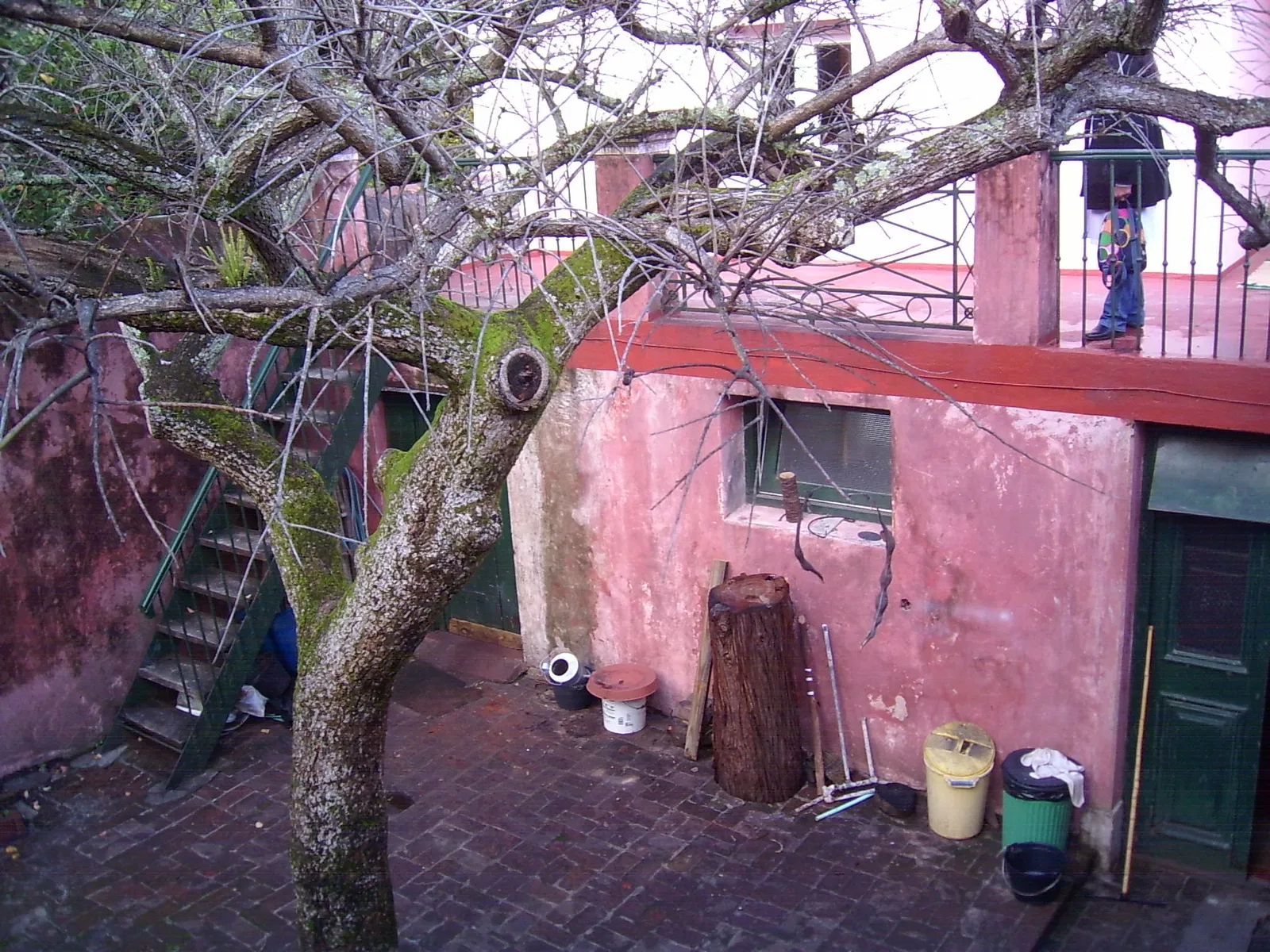 Museo Arboretum Lussich