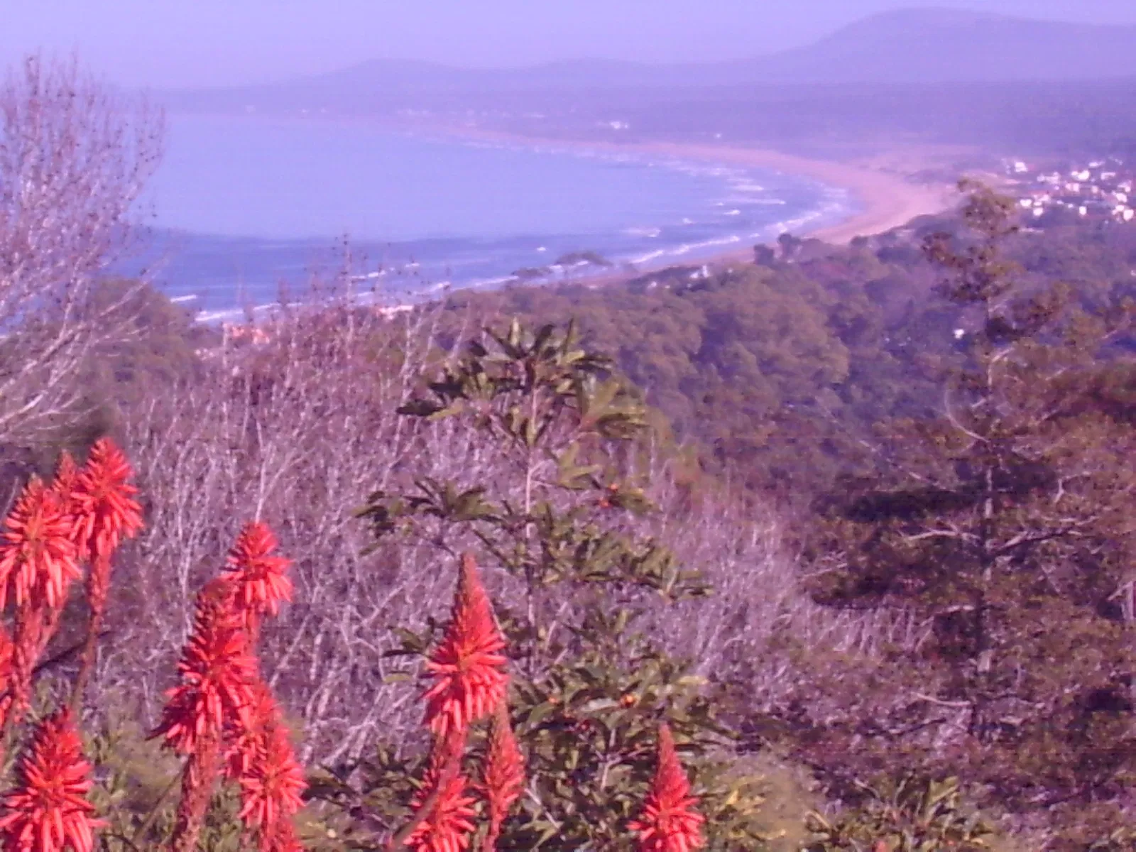 Museo Arboretum Lussich