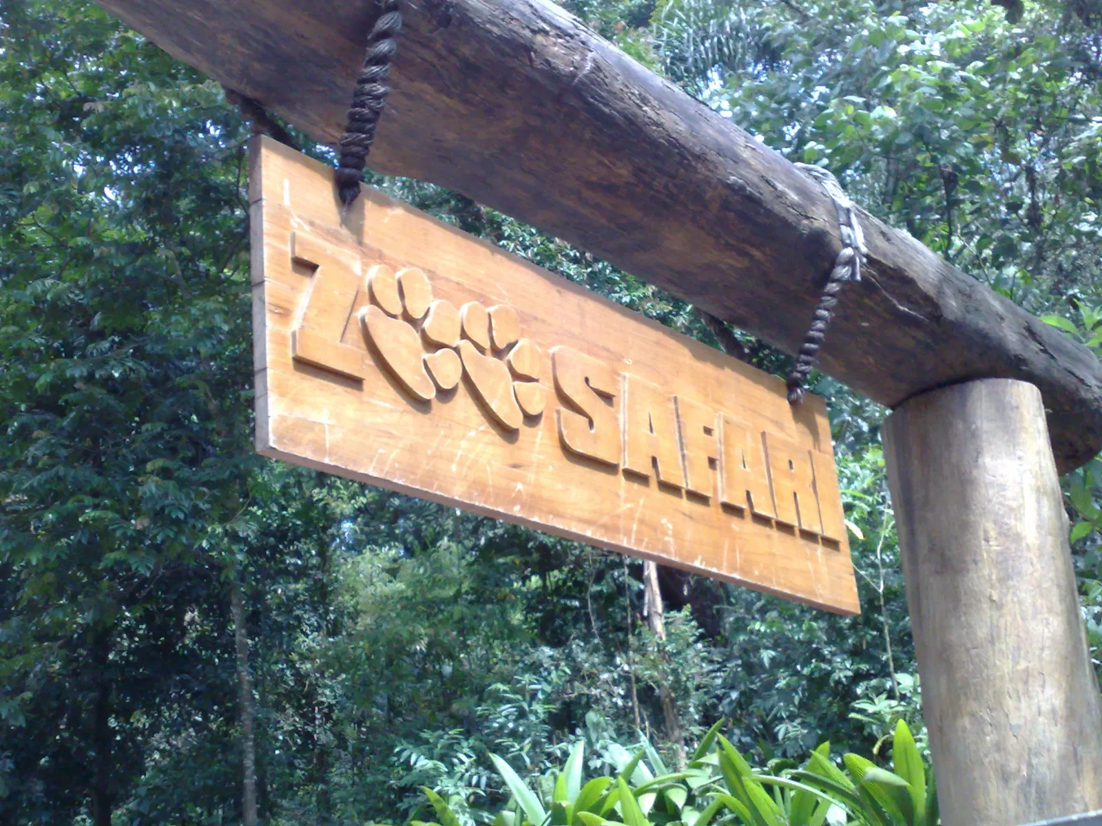 Zoo Safári