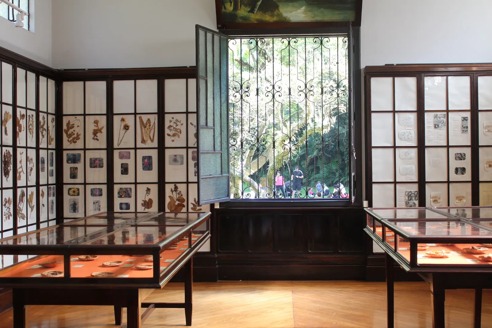 Museu Botânico Dr. João Barbosa Rodrigues