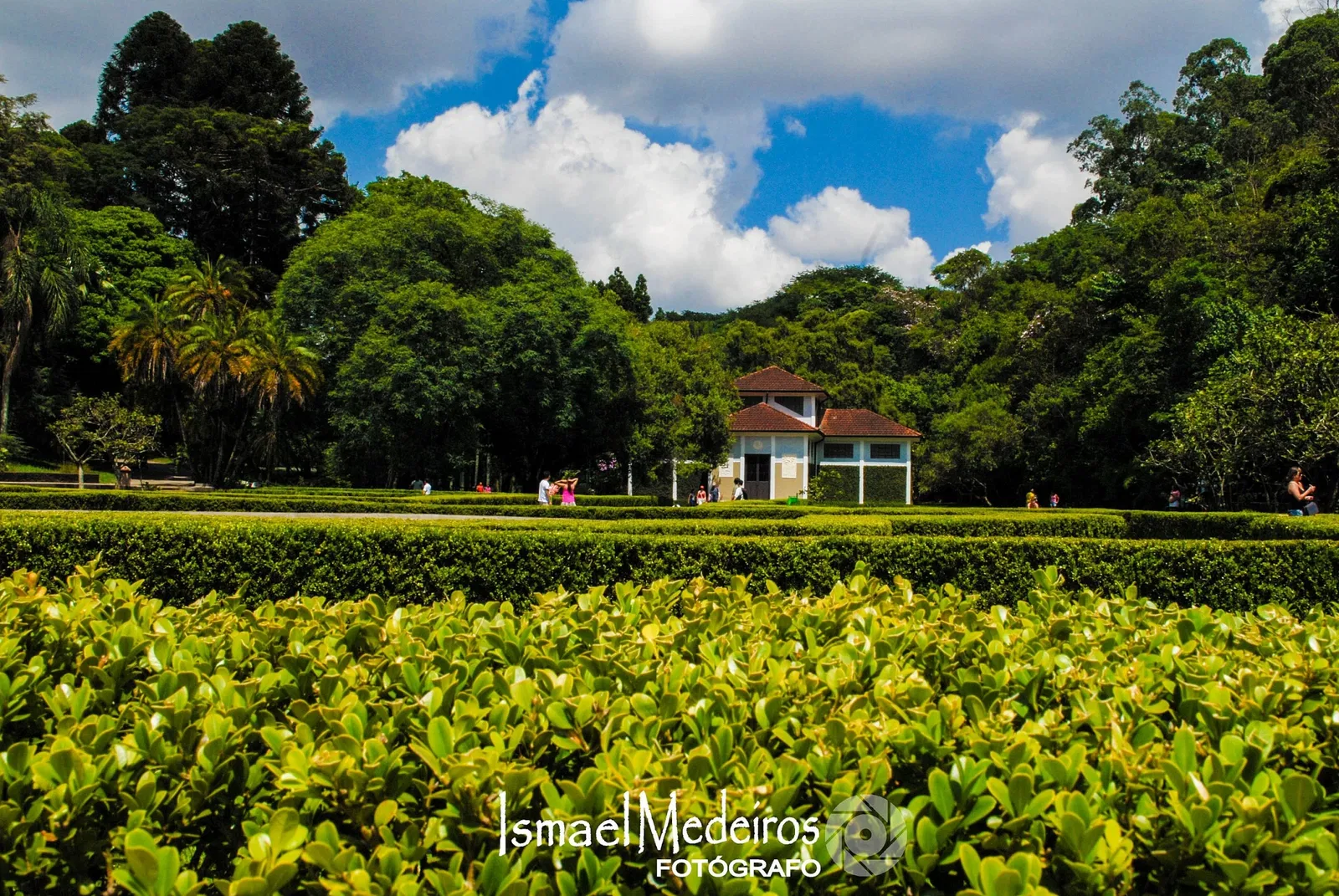 Museu Botânico Dr. João Barbosa Rodrigues