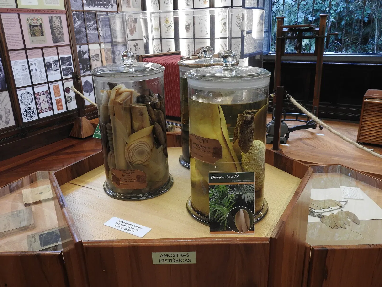 Museu Botânico Dr. João Barbosa Rodrigues