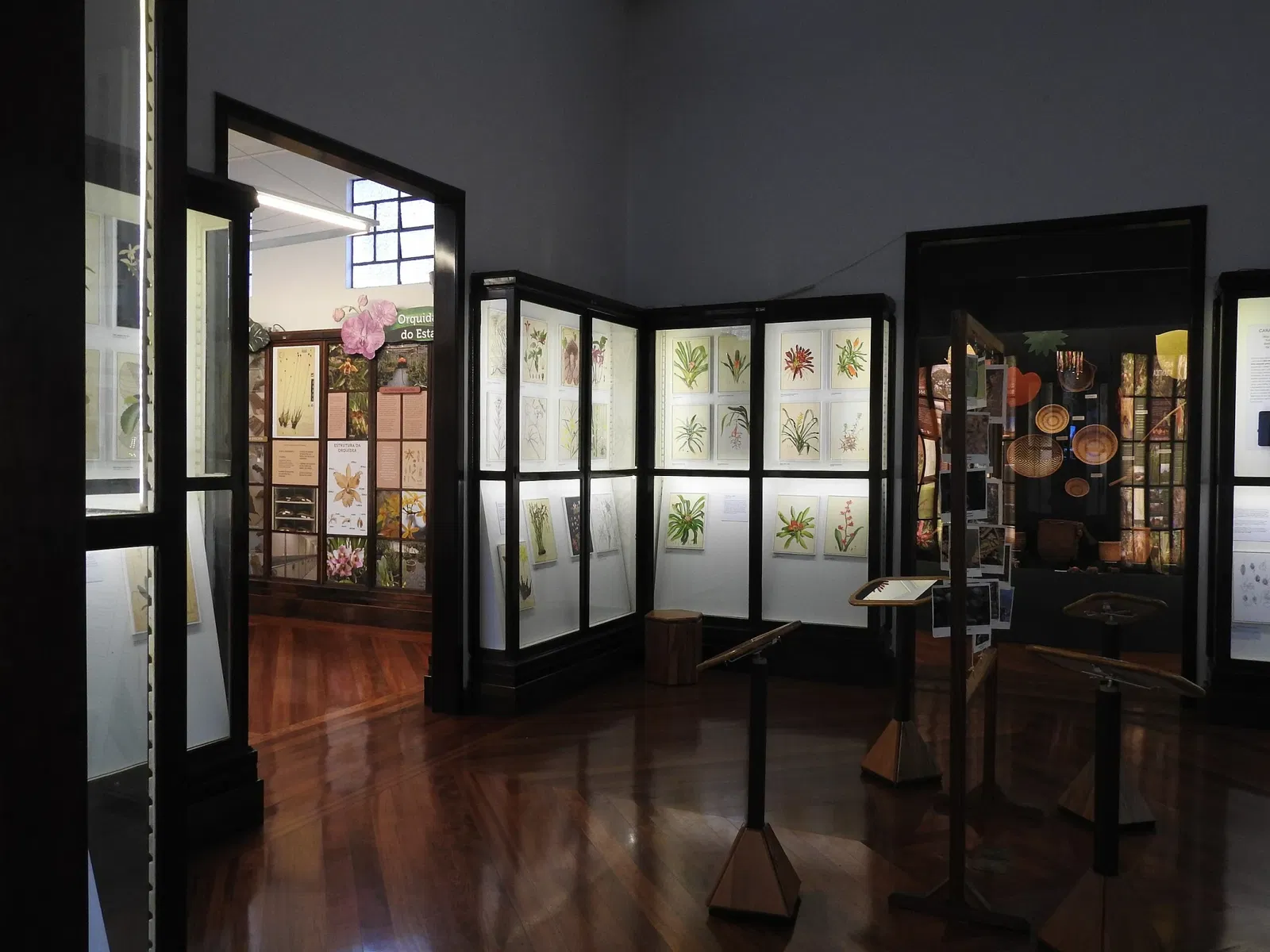 Museu Botânico Dr. João Barbosa Rodrigues