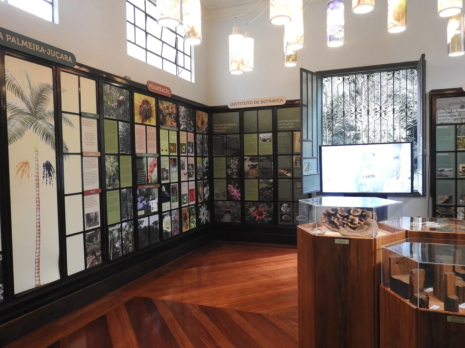 Museu Botânico Dr. João Barbosa Rodrigues