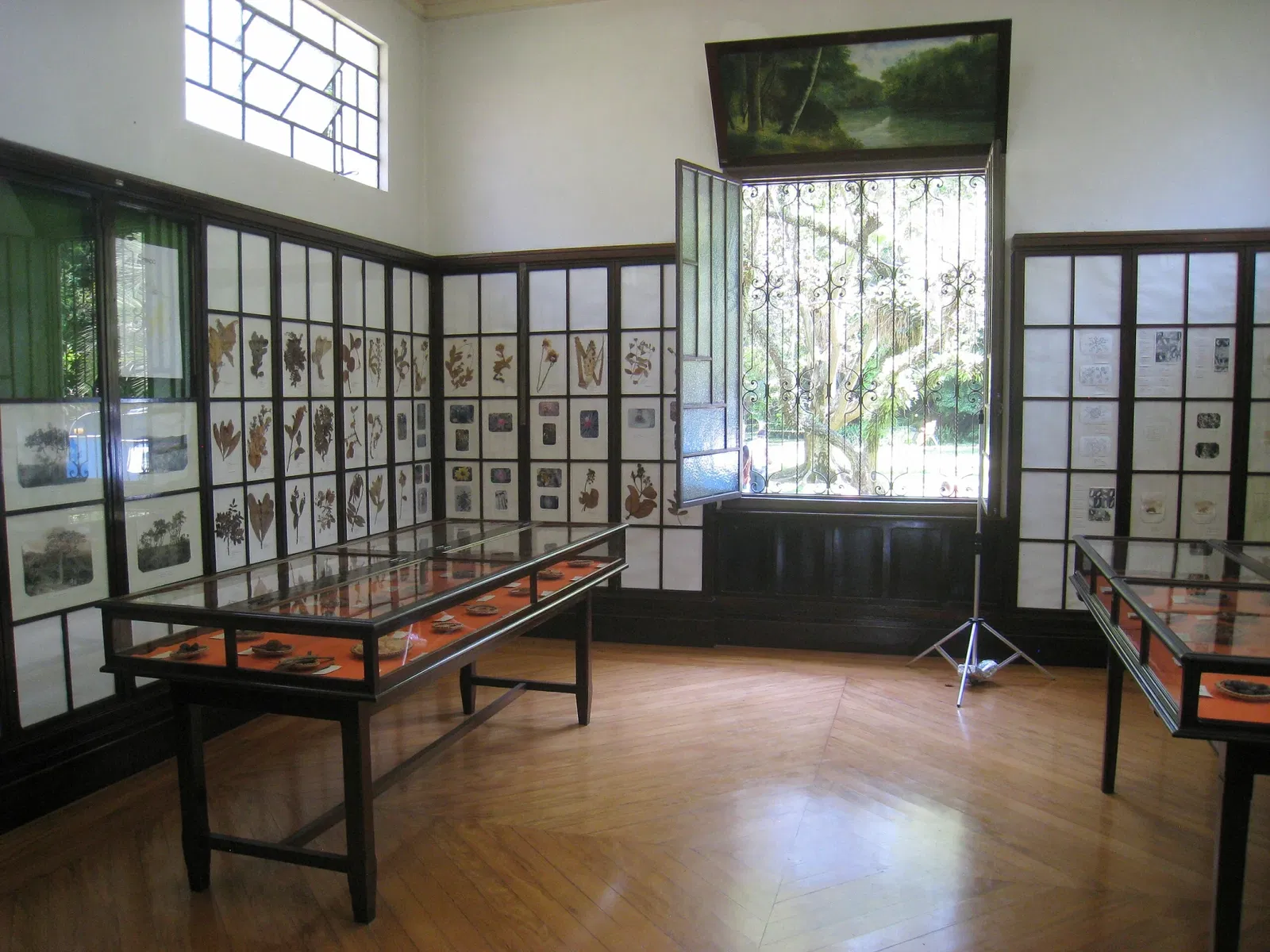 Museu Botânico Dr. João Barbosa Rodrigues