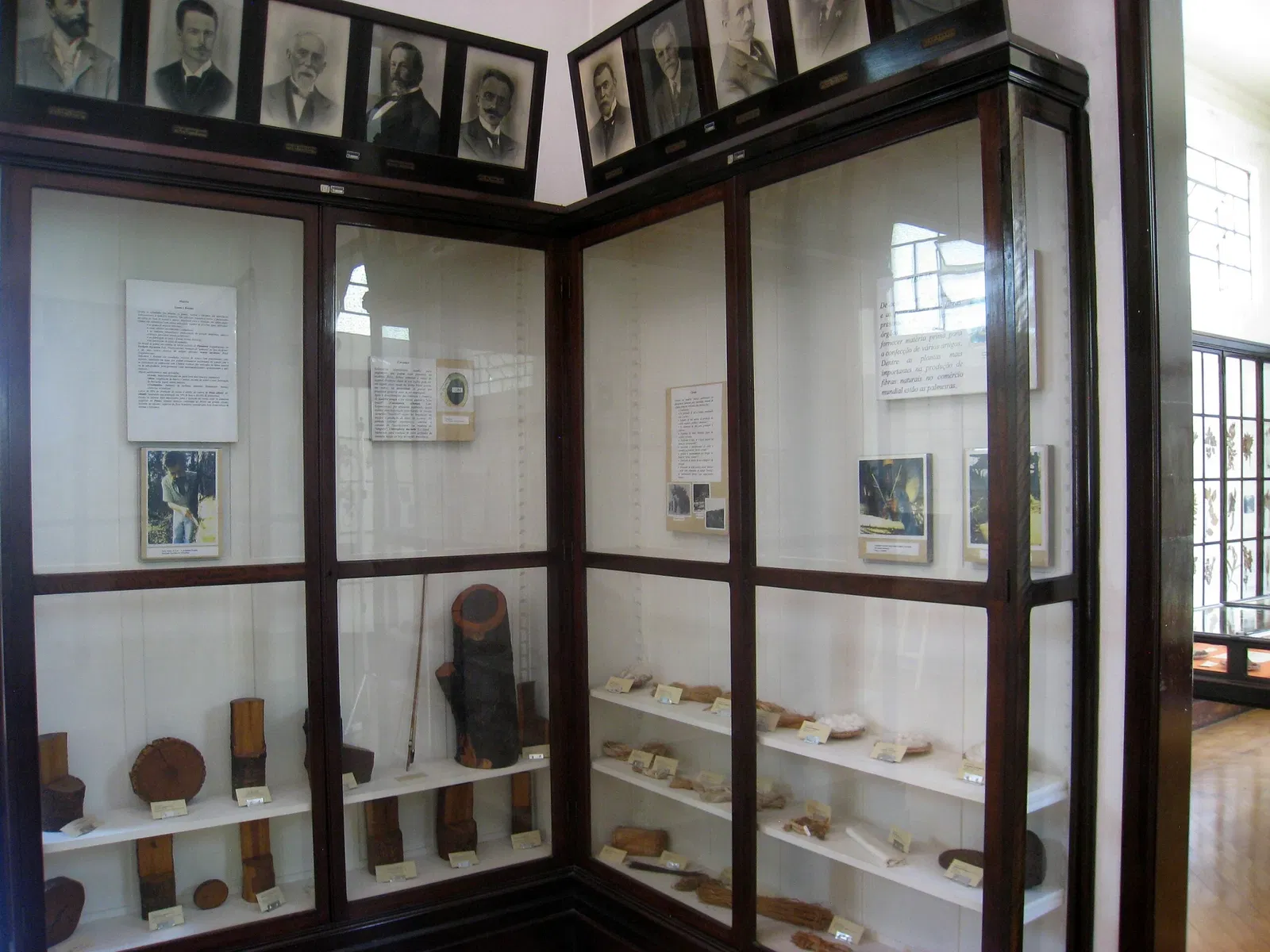 Museu Botânico Dr. João Barbosa Rodrigues