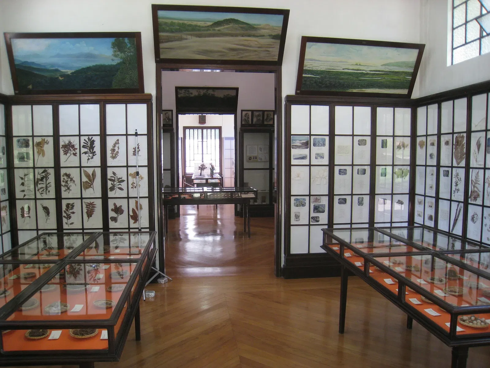 Museu Botânico Dr. João Barbosa Rodrigues