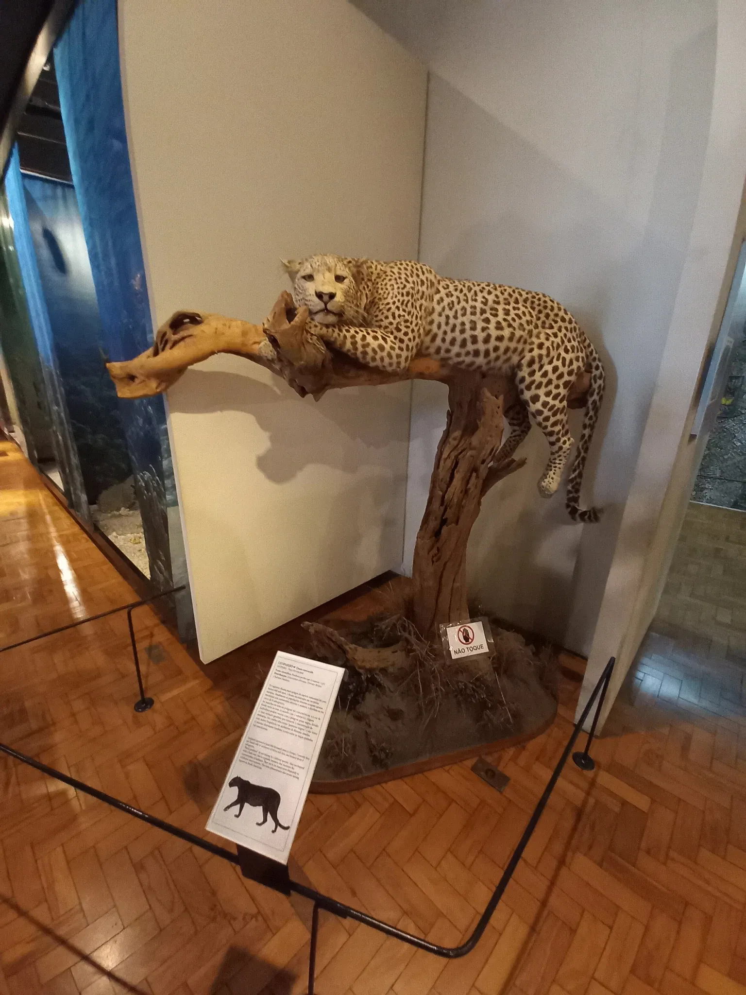 Museum of Zoology of the University of São Paulo