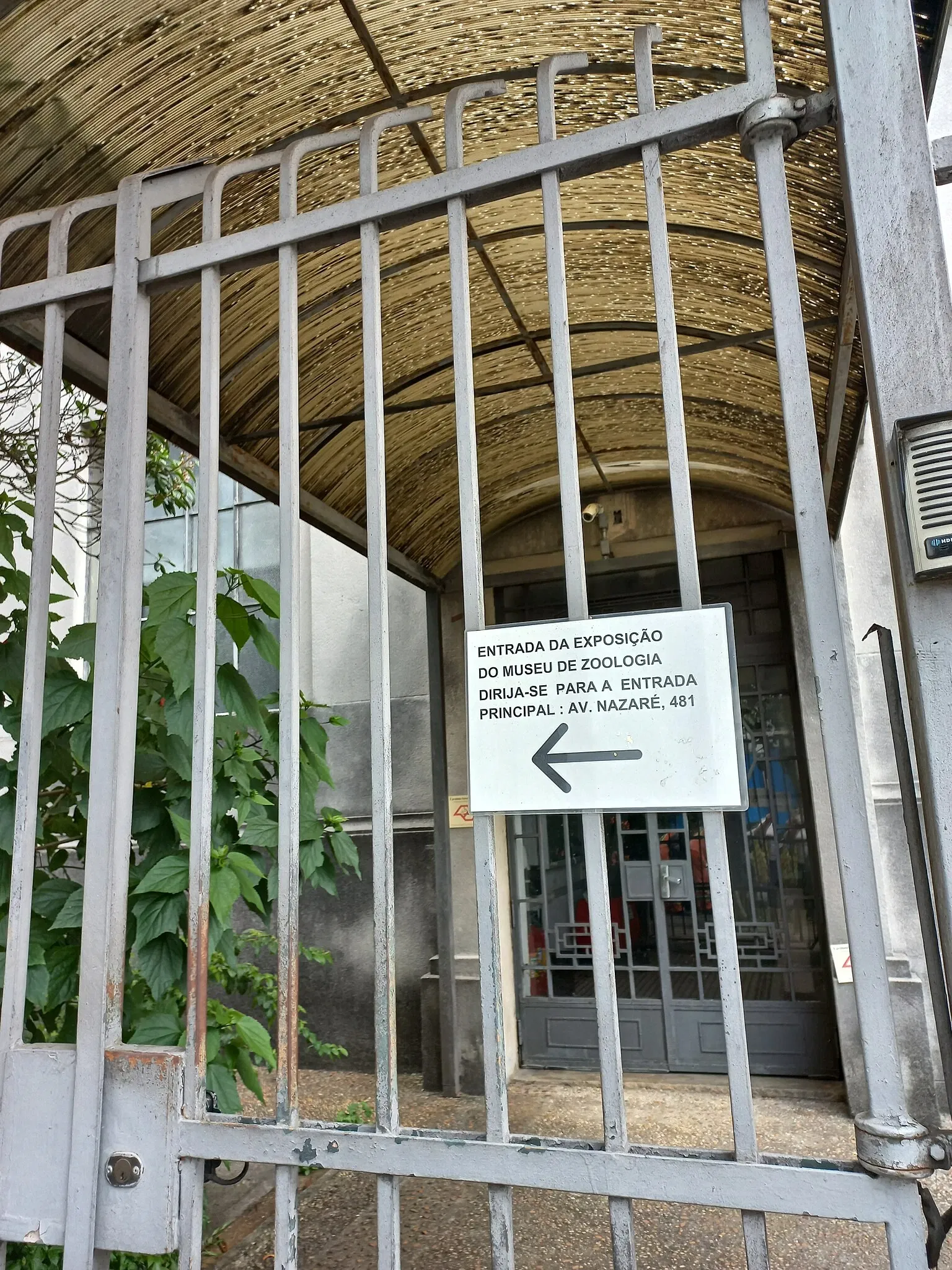 Museum of Zoology of the University of São Paulo