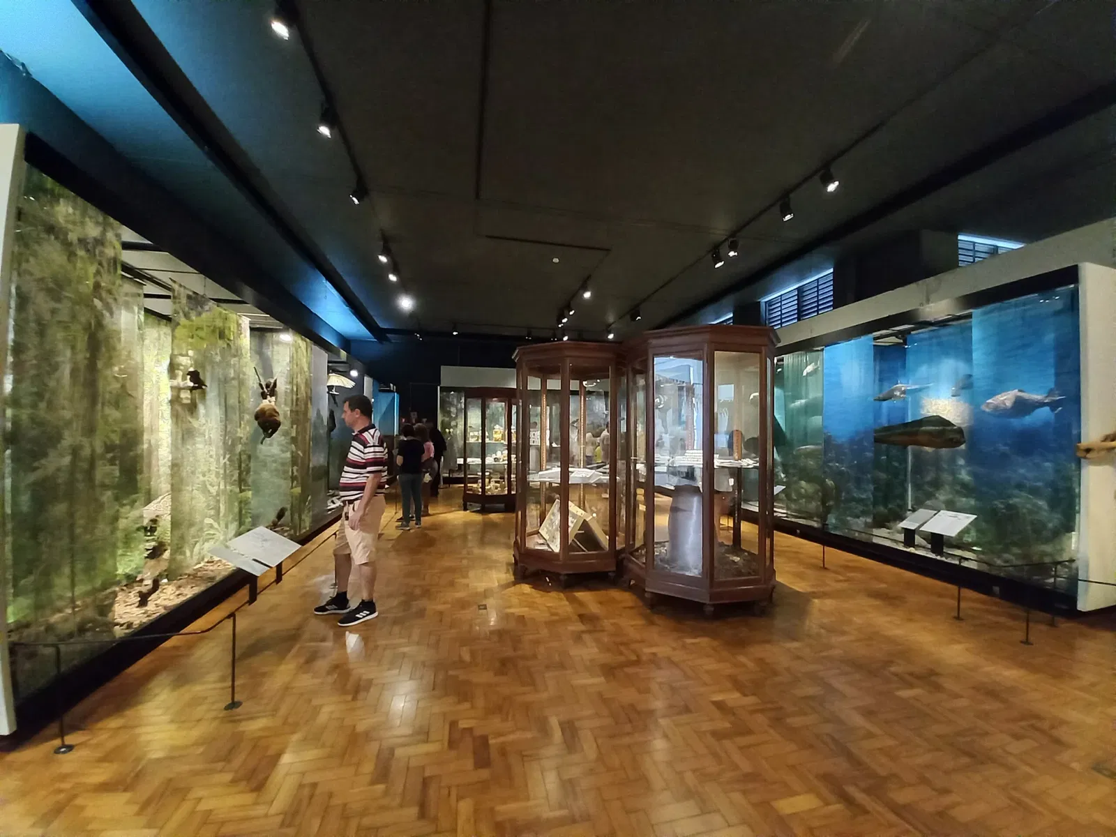 Museum of Zoology of the University of São Paulo
