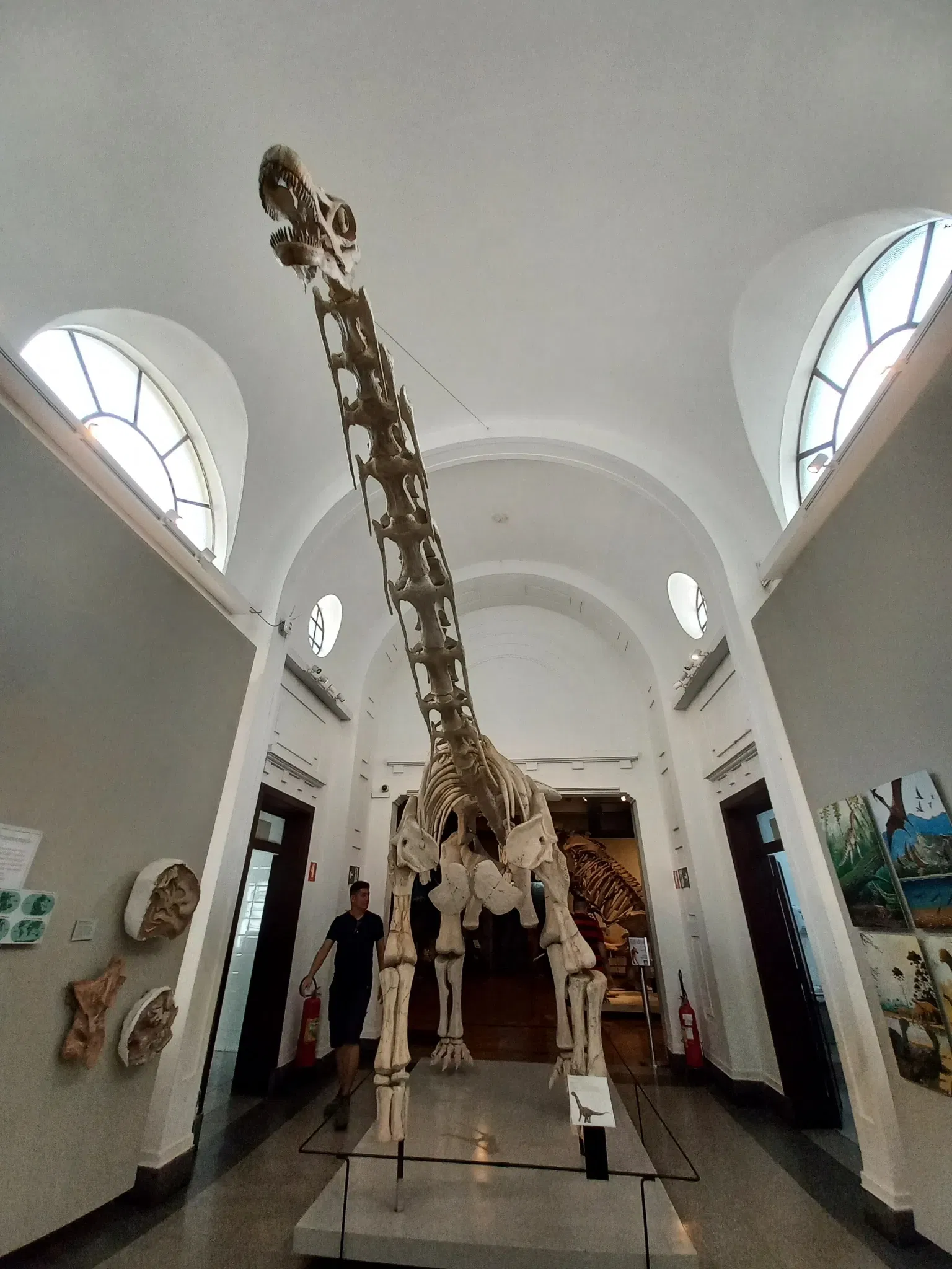 Museum of Zoology of the University of São Paulo
