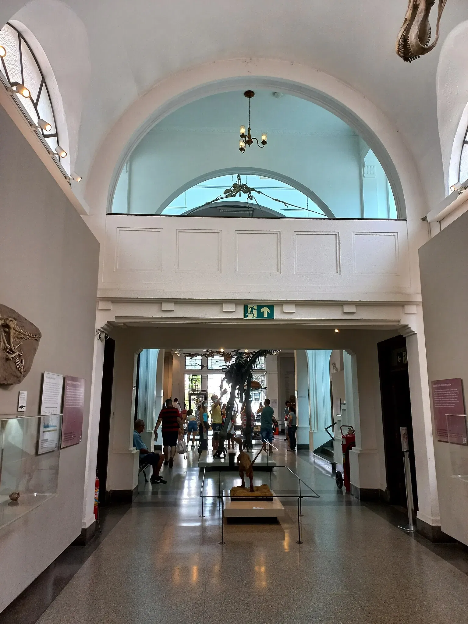 Museum of Zoology of the University of São Paulo