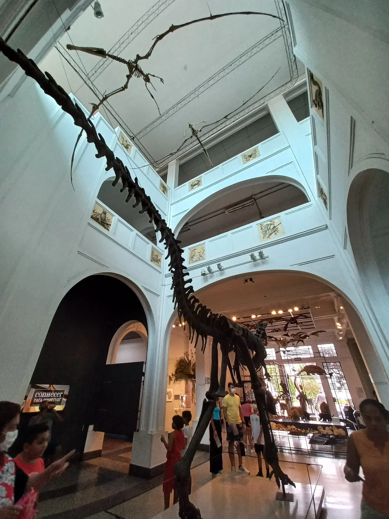 Museum of Zoology of the University of São Paulo