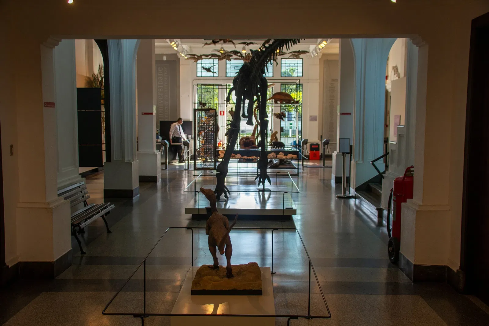 Museum of Zoology of the University of São Paulo