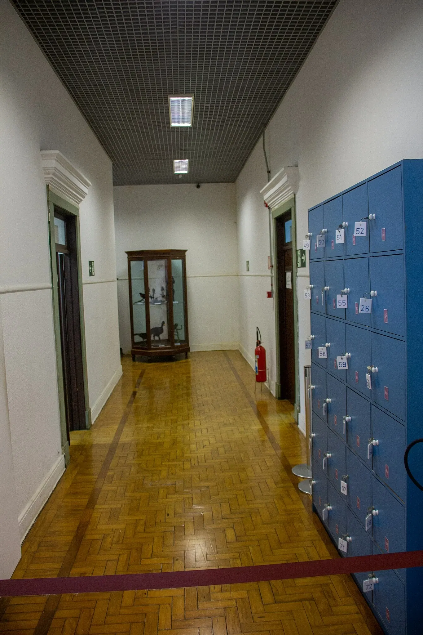 Museum of Zoology of the University of São Paulo