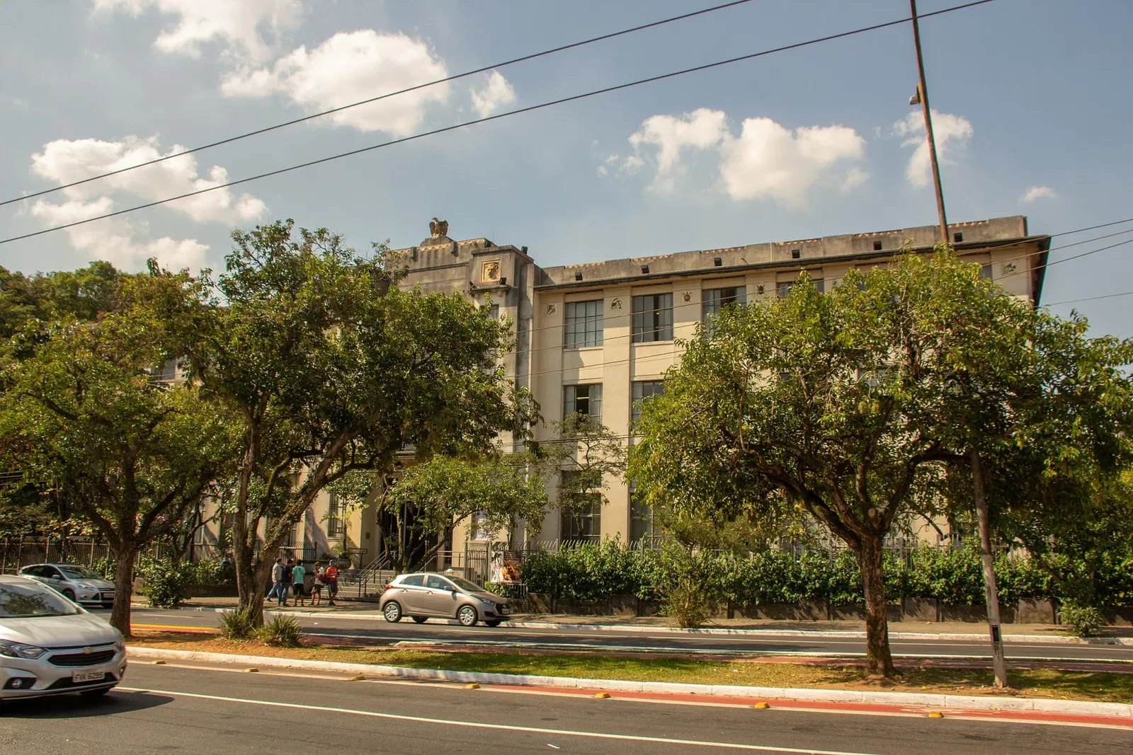 Museum of Zoology of the University of São Paulo