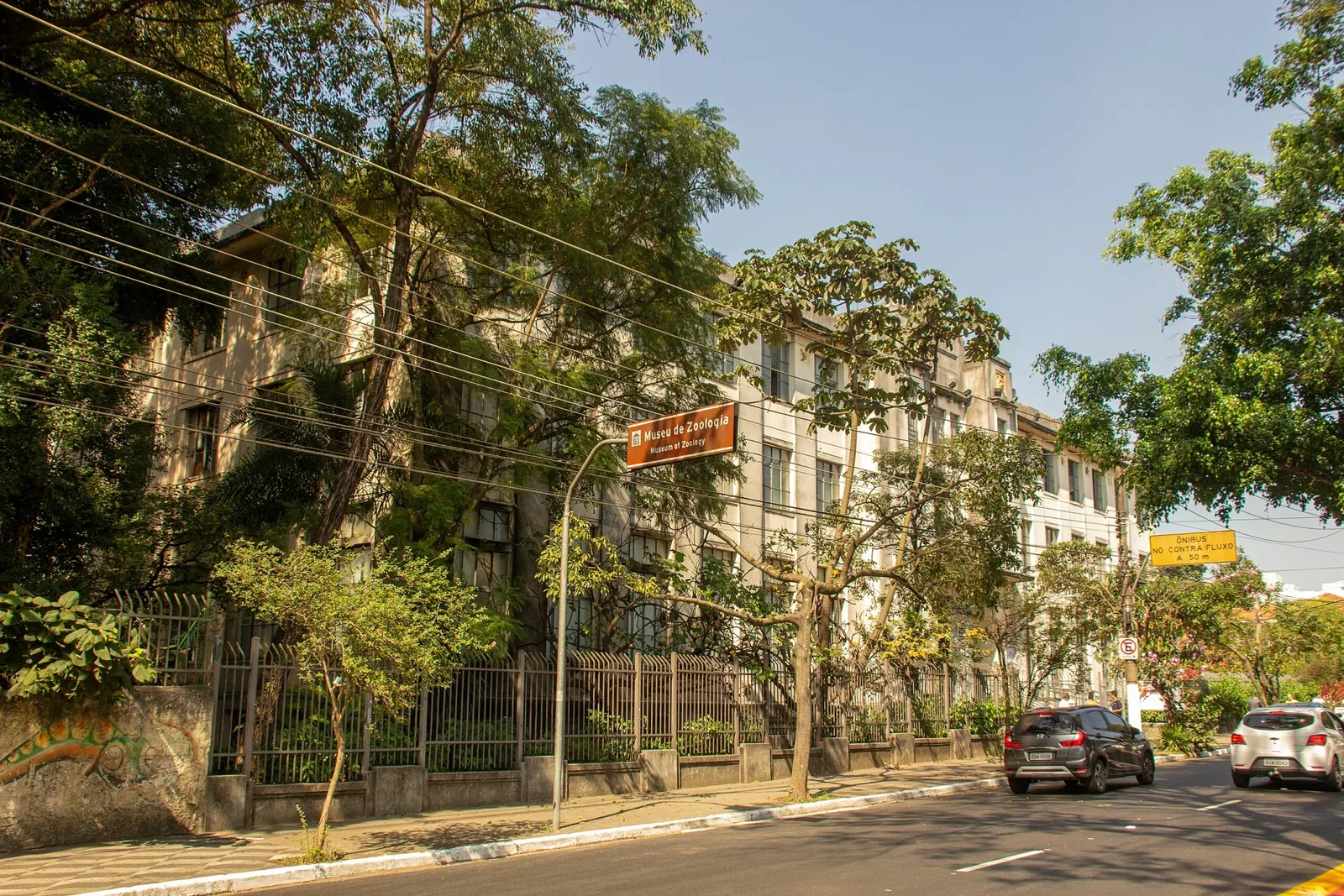 Museum of Zoology of the University of São Paulo