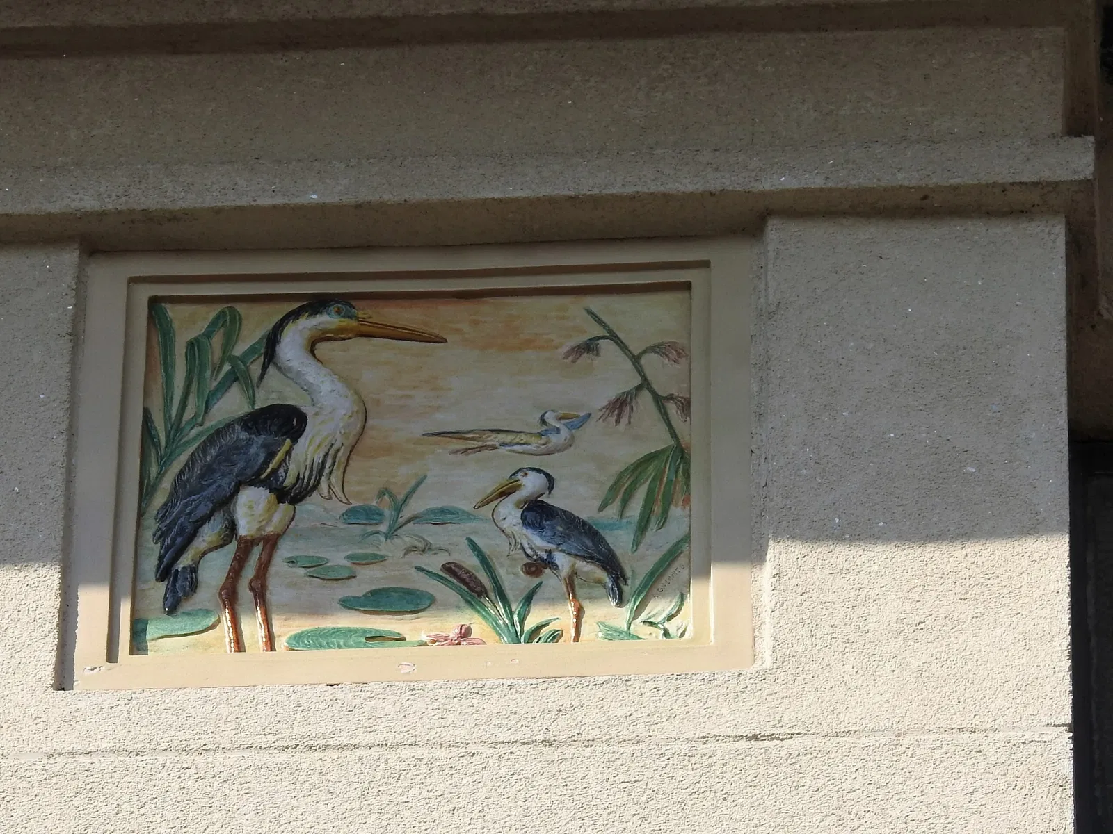 Museum of Zoology of the University of São Paulo
