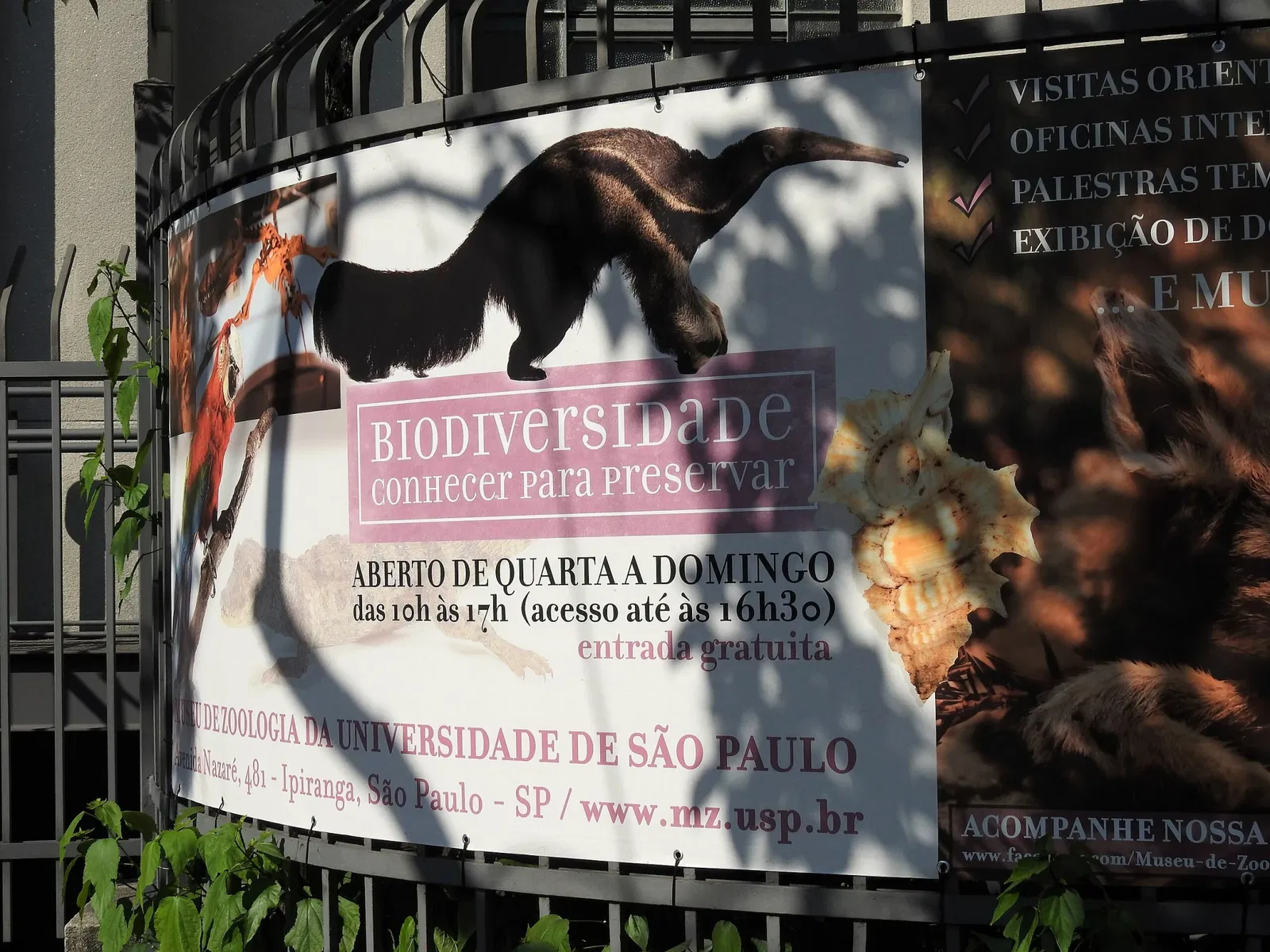 Museum of Zoology of the University of São Paulo