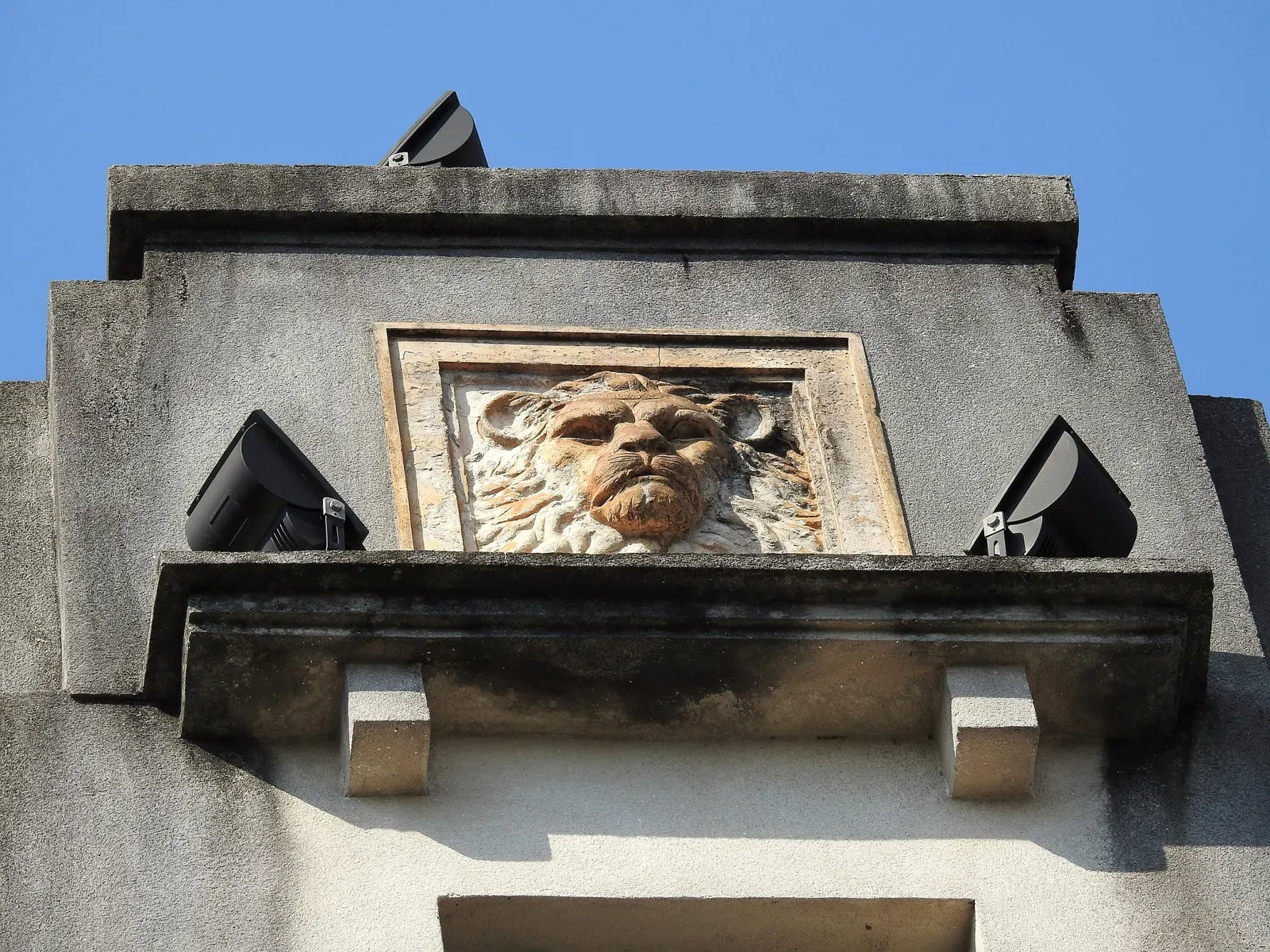 Museum of Zoology of the University of São Paulo