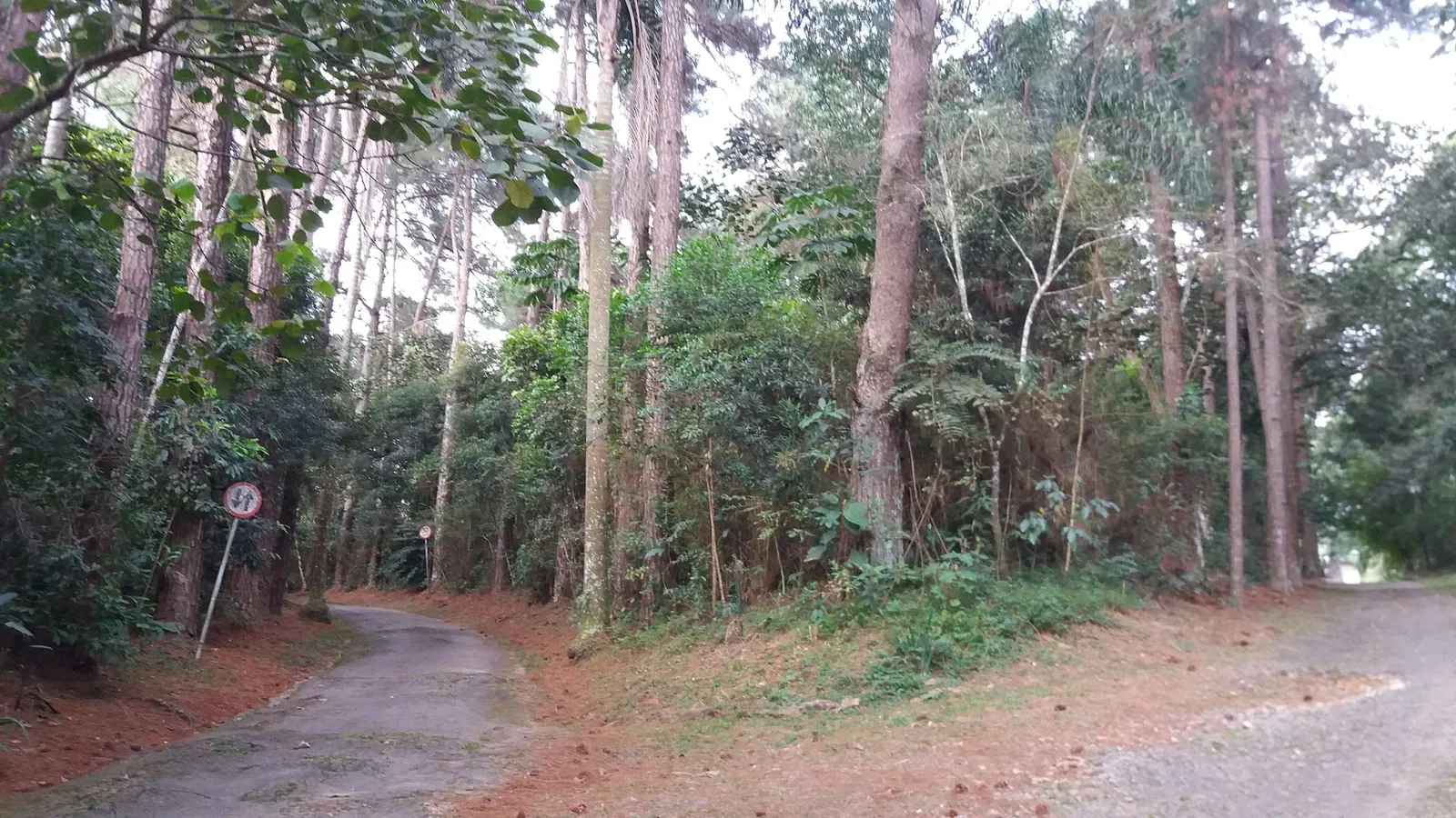 Parque de Ciência e Tecnologia da USP (CienTec)
