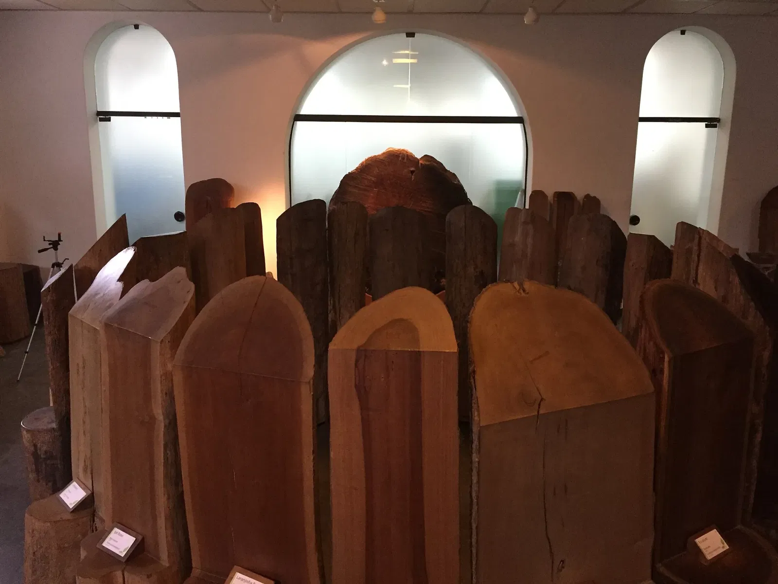 Museu Florestal Octávio Vecchi