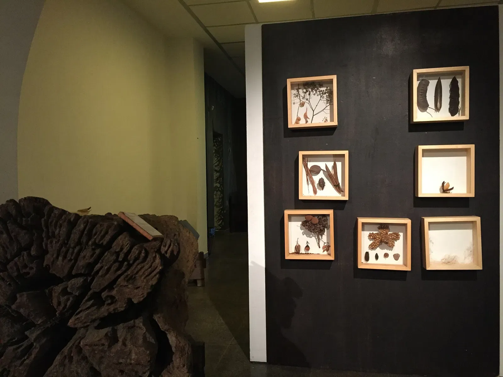 Museu Florestal Octávio Vecchi