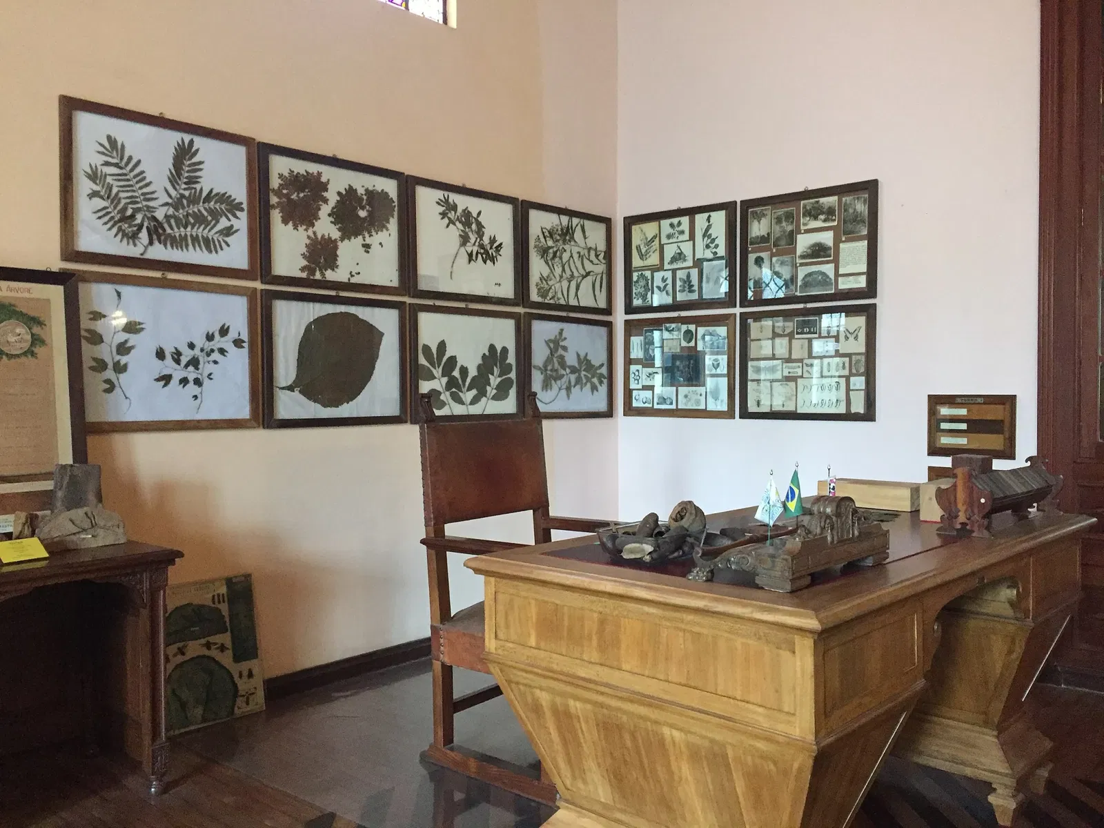 Museu Florestal Octávio Vecchi