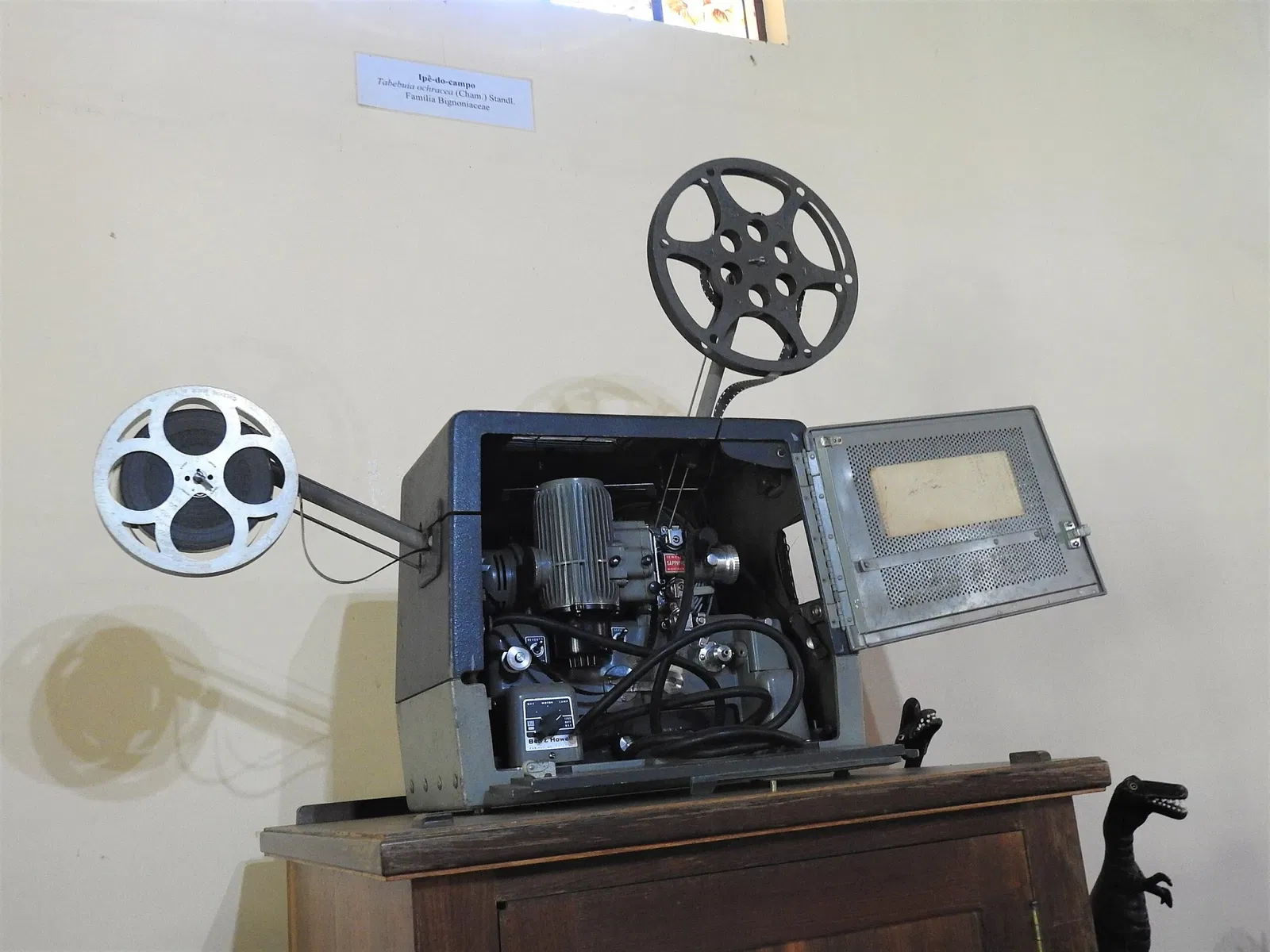 Museu Florestal Octávio Vecchi