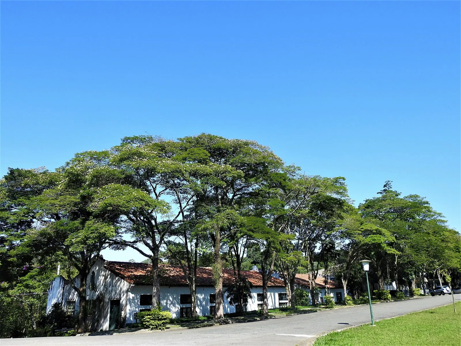 Museu Florestal Octávio Vecchi