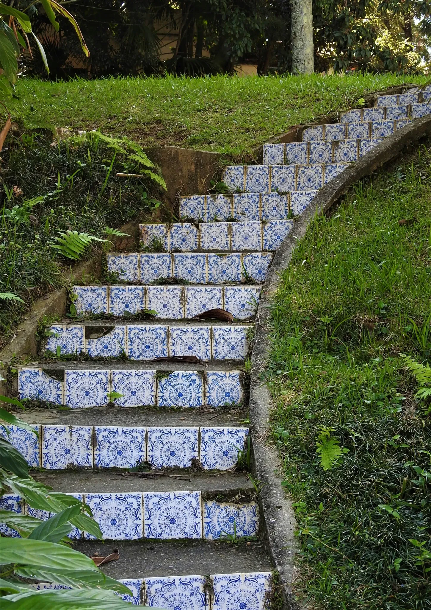 Museu Florestal Octávio Vecchi