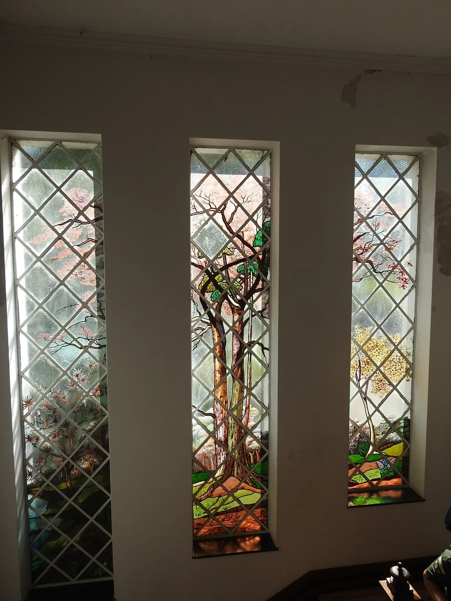 Museu Florestal Octávio Vecchi