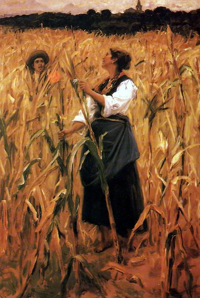 Carlos Costa Pinto Museum